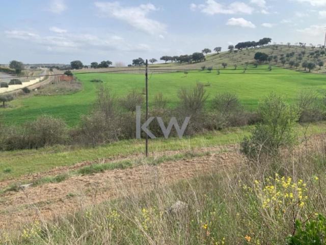 Terreno venda em Ferreira Do Alentejo, Beja