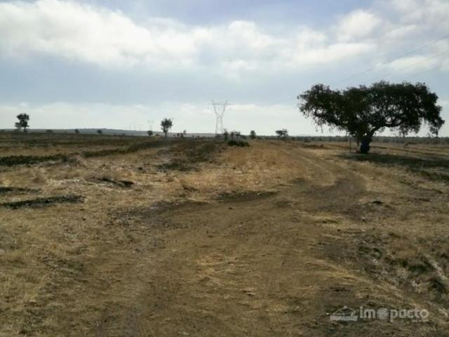 Casa venda em Ferreira do Alentejo
