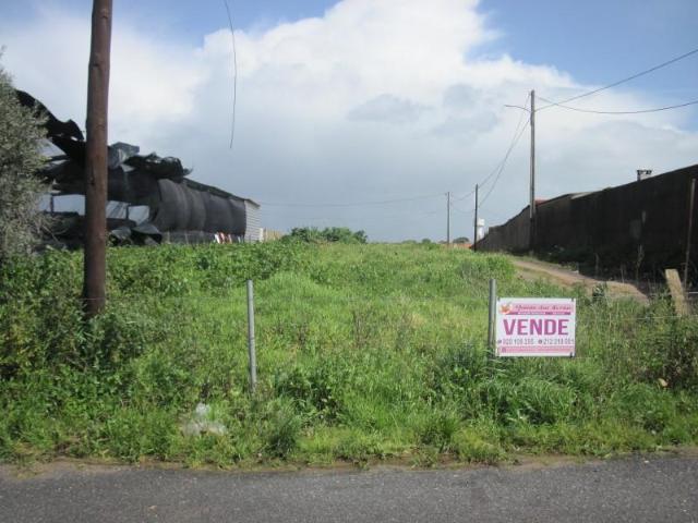 Terreno venda em Figueira dos Cavaleiros, Ferreira Do Alentejo