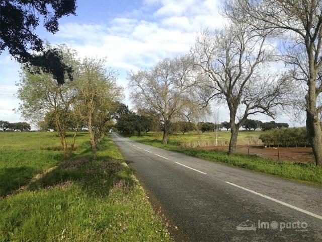 Casa venda em Ferreira Do Alentejo, Beja
