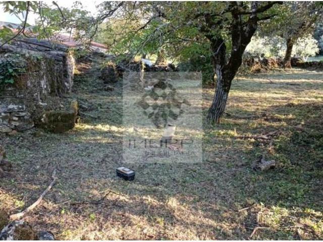 Terreno venda em Rego Da Murta, Santarém