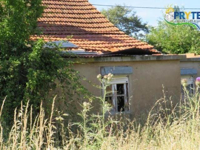 Terreno venda em Rego Da Murta, Santarém