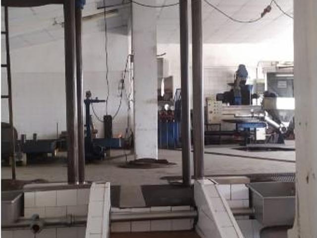 Casa venda em Rego Da Murta, Santarém