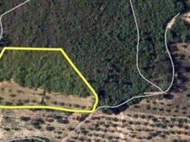 Terreno venda em Quebrada de Cima, Rego Da Murta