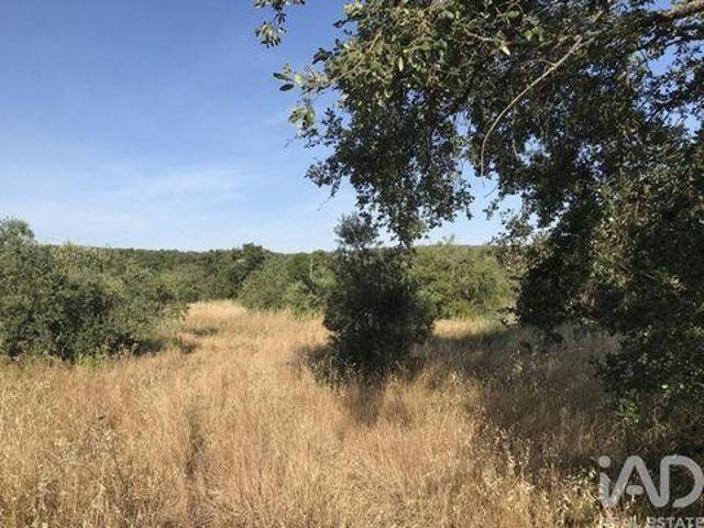 Terreno venda em Quebrada de Cima, Rego Da Murta