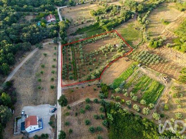 Terreno venda em Telhadas, Rego Da Murta