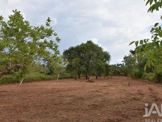 Terreno venda em Telhadas, Rego Da Murta