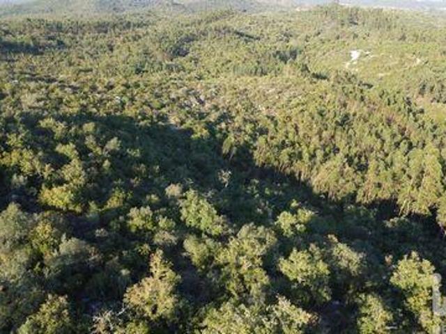 Terreno venda em Quebrada de Cima, Rego Da Murta
