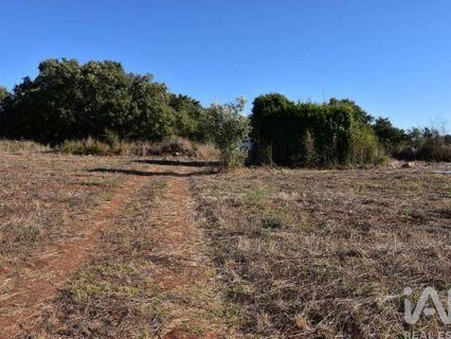 Terreno venda em Telhadas, Rego Da Murta