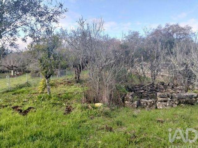 Terreno venda em Quebrada de Cima, Rego Da Murta