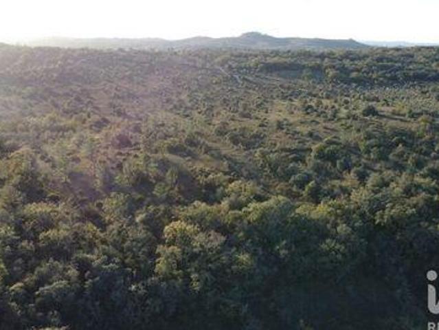Terreno venda em Telhadas, Rego Da Murta
