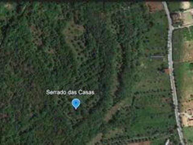 Terreno venda em Telhadas, Rego Da Murta
