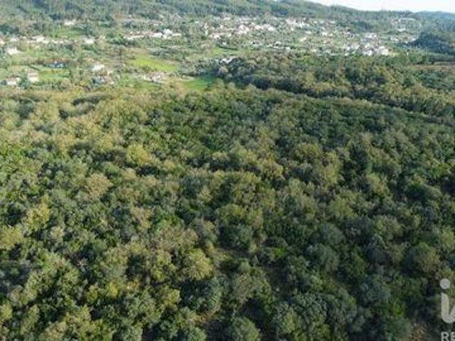 Terreno venda em Telhadas, Rego Da Murta