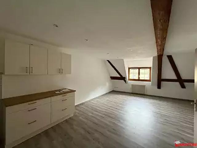 Appartement location à Altkirch, Ferrette