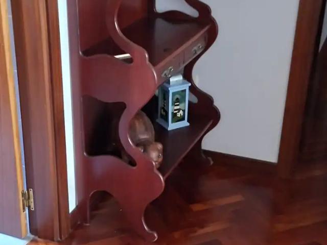 Apartamento en alquiler en Ferrol