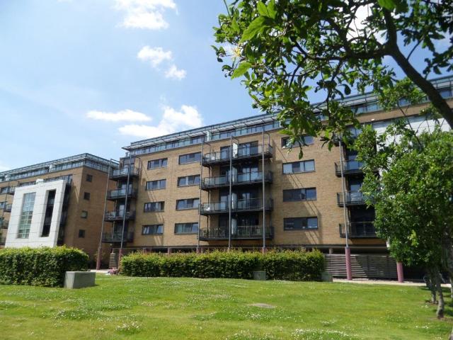 Studio for rent in Cardiff International Sports Village, Falcon Lodge