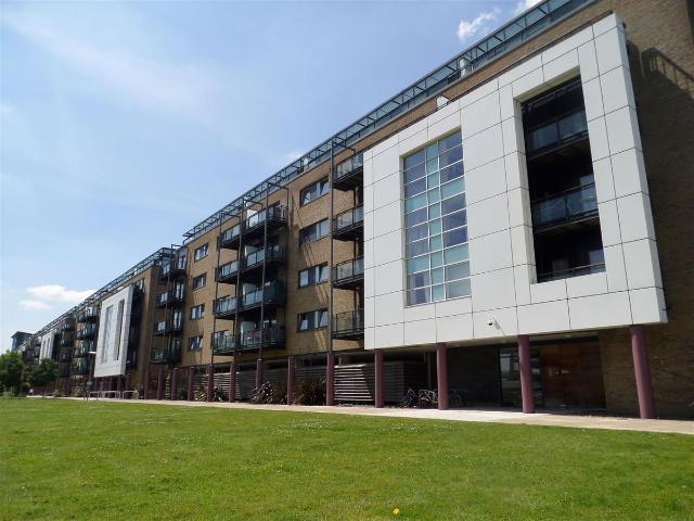 Studio for rent in Cardiff International Sports Village, Falcon Lodge