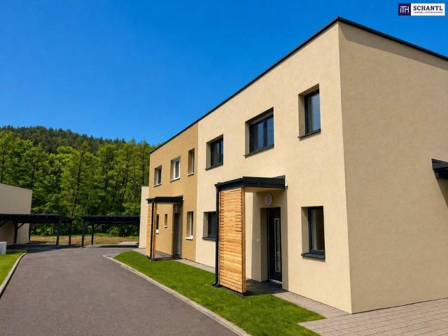 Haus kaufen in Steiermark