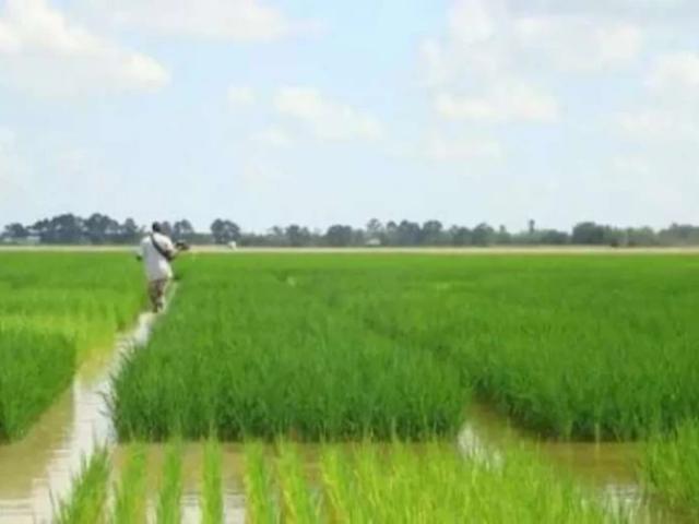 Land for sale in Faisalabad, Islamabad Capital Territory