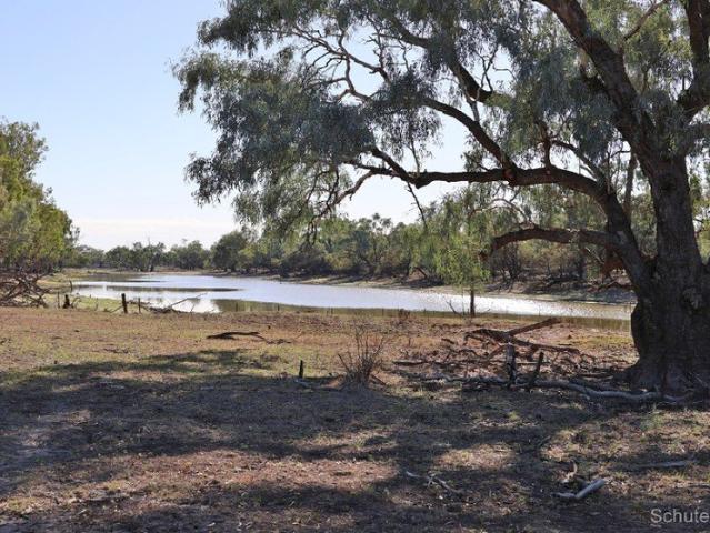 Cottage for sale in North Bourke, New South Wales