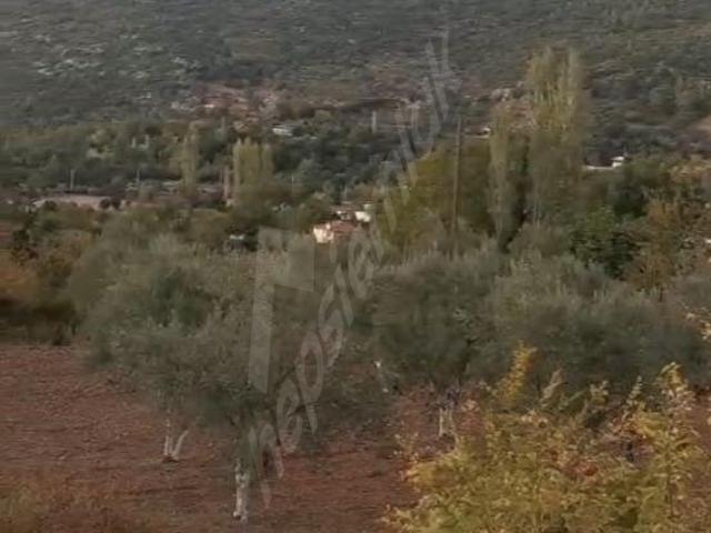 Fethiye, Muğla içerisinde satılık Arsa