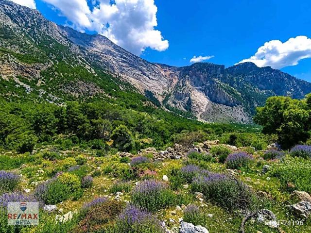 Fethiye, Muğla içerisinde satılık Arsa