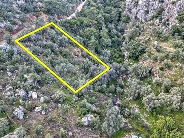 Fethiye, Muğla içerisinde satılık mülk