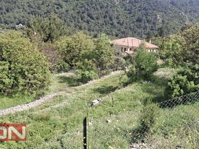 Fethiye, Muğla içerisinde satılık Arsa
