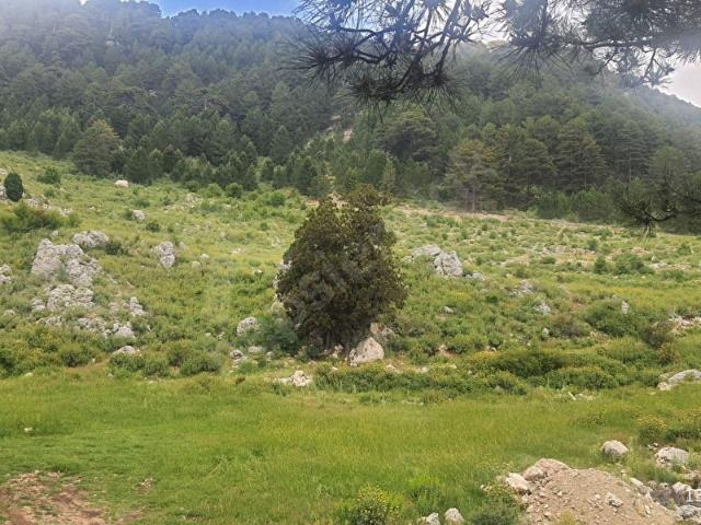 Fethiye, Muğla içerisinde satılık Arsa