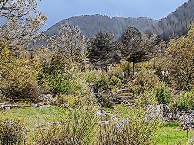 Fethiye, Muğla içerisinde satılık mülk