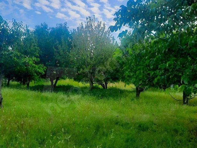 Fethiye, Muğla içerisinde satılık Arsa