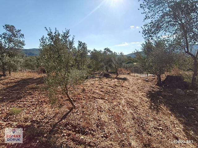 Fethiye içerisinde satılık Arsa