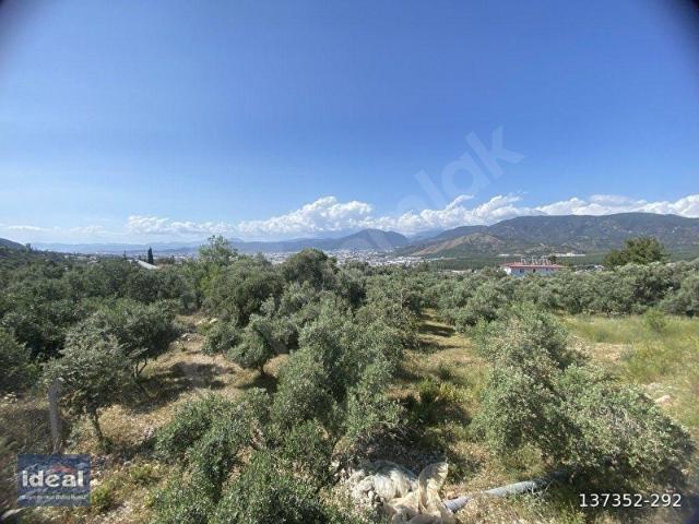 Fethiye, Muğla içerisinde satılık Arsa