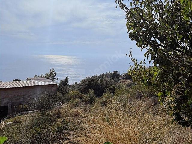 Fethiye, Muğla içerisinde satılık Arsa