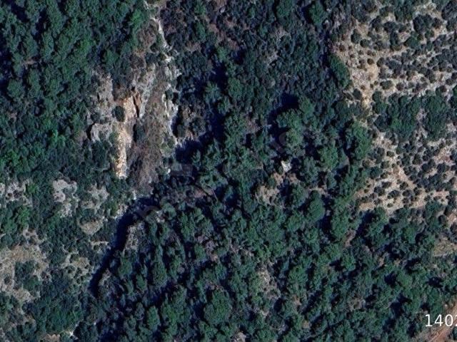 Fethiye, Muğla içerisinde satılık mülk