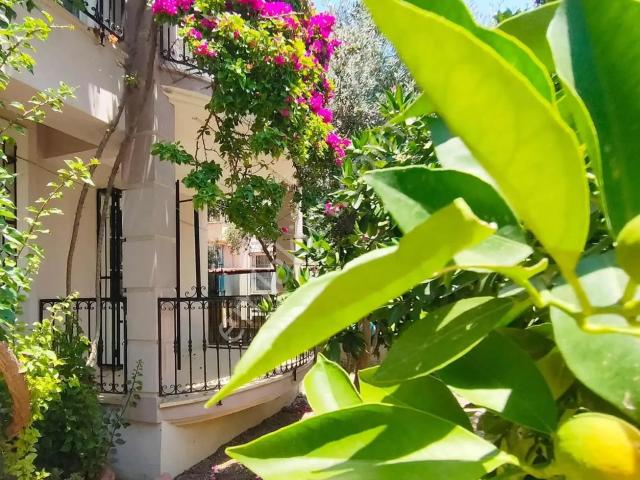 Fethiye, Muğla içerisinde kiralık mülk