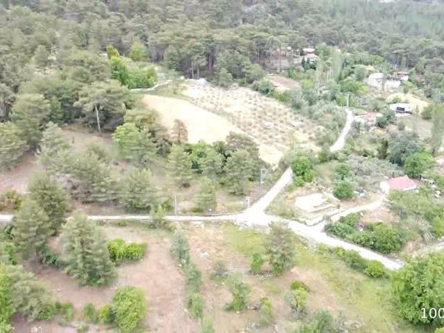 Muğla içerisinde satılık Arsa