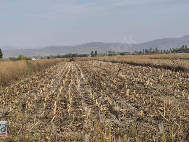 Soğula, Yahyalı içerisinde satılık Arsa