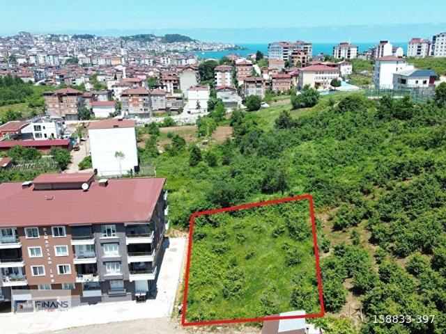 Gürecülü, Ünye içerisinde satılık Dükkan