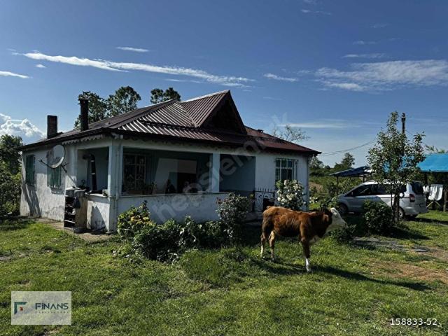 Terme, Samsun içerisinde satılık mülk