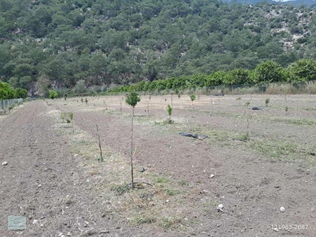 Finike, Antalya içerisinde satılık mülk