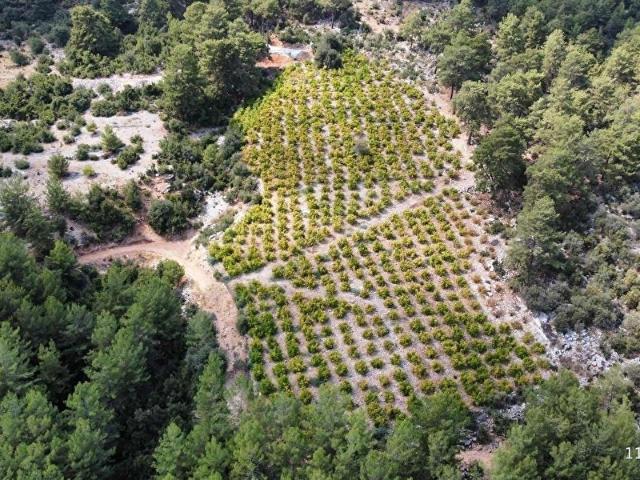 Finike, Antalya içerisinde satılık mülk