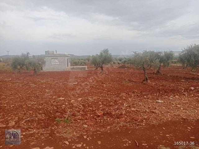 Kilis Merkez, Kilis içerisinde satılık mülk