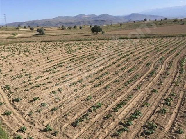Develi, Kayseri içerisinde satılık Arsa