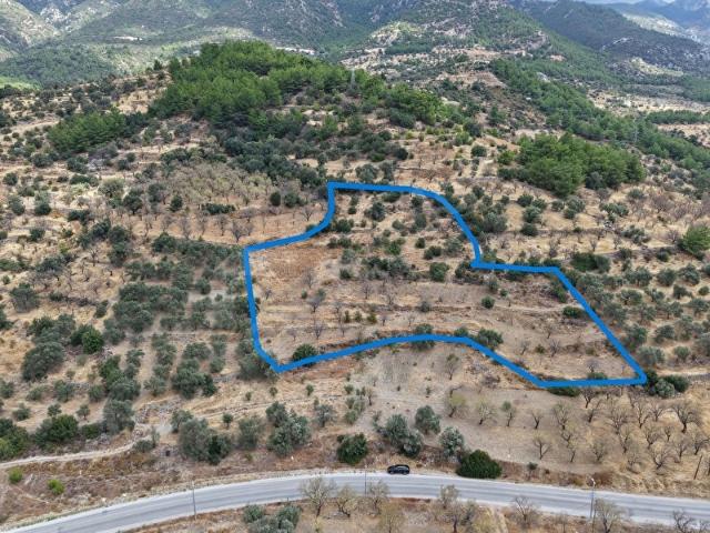 Zeytincik, Datça içerisinde satılık Arsa