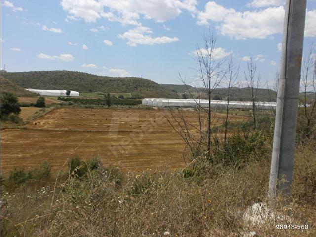 Bucakşeyhler, Manavgat içerisinde satılık Arsa
