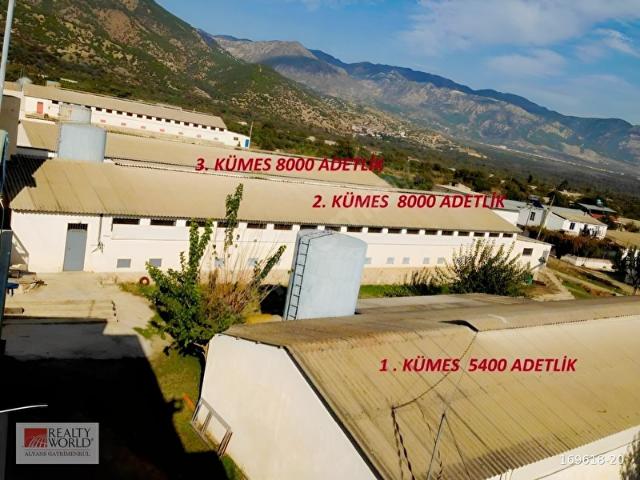 Buharkent, Aydin içerisinde satılık Fabrika
