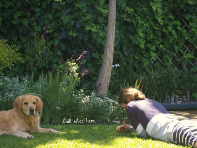 Apartment for rent in Cape Town, Western Cape