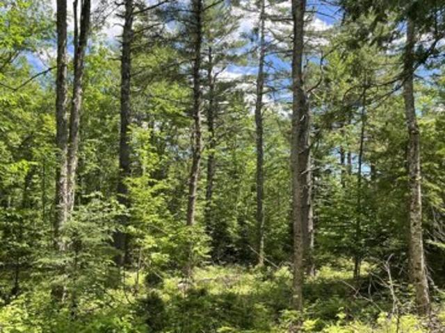 Land for sale in Etna, Maine