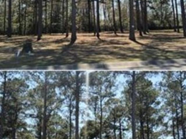 Land for sale in Myrtle Beach Land for sale in Myrtle Beach